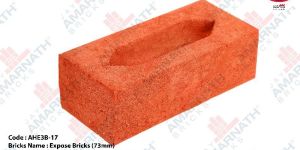 Diamond Polishing Brick