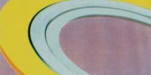 CGI Spiral Wound Gaskets