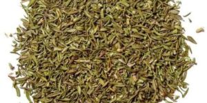 Thyme Leaves