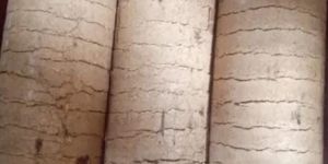 90mm Saw Dust Biomass Briquettes