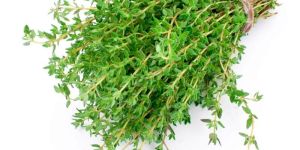 Thyme