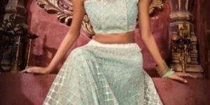 Net Lehenga Choli