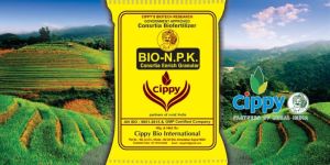 Organic Bio Fertilizer