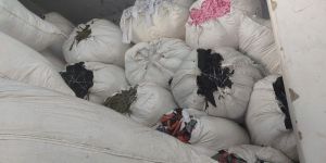 Wool Waste