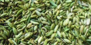 Fennel Seed