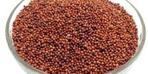 Finger Millet Seeds