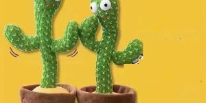 Dancing Cactus Toy