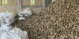 Agro Waste Biomass Briquette