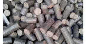 Sawdust Biomass Briquette