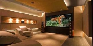 Acoustic Home Theater