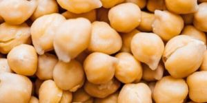 White Chickpea Seeds