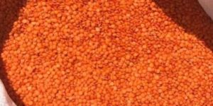 Red Masoor Dal
