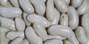 White Rajma