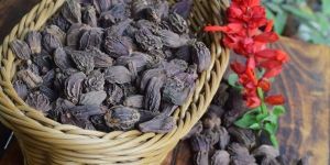 Black Cardamom