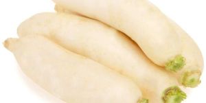 Fresh Radish