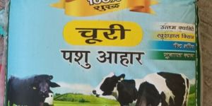 Sanjivani Gold Churi Cattle Feed