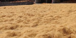 White Coir Fibre Bale