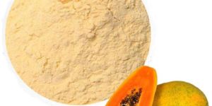 Papaya Powder