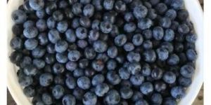 Organic Blueberry