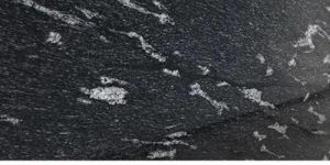 Fish Black Granite Slab