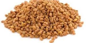 Fenugreek Seeds