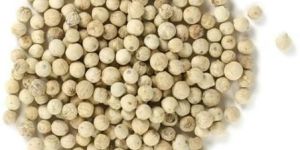 White Pepper Seeds