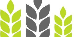 Agriculture Seed License Service