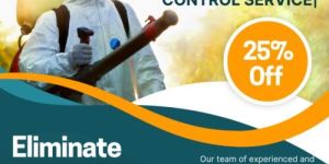 Insect Pest Control Service