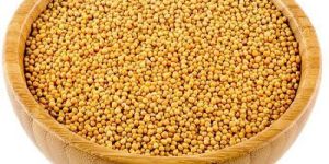 Organic Yellow Mustard Seeds