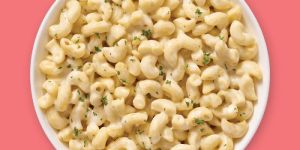 Refined Wheat Flour Macaroni Pasta