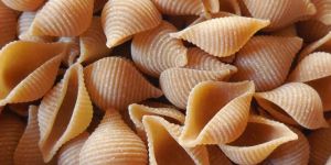 Whole Wheat Conchiglie Pasta