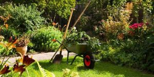 Garden Landscaping Services