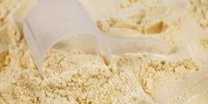Whey Protein Concentrate Powder