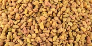 Fenugreek Seeds