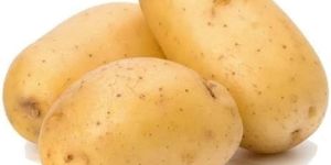Fresh Potato