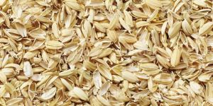 Rice Husk