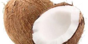 Fresh Coconut