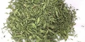 Dry Stevia Leaves