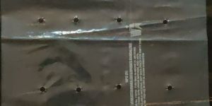 Vegetable Packaging Bags