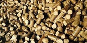 Mustard Biomass Briquettes