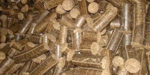 Sawdust Briquettes