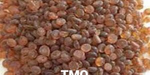 Trimethyl -1, 2-dihydroquinoline (TMQ)