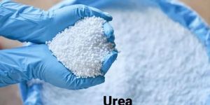 Urea Powder