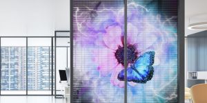 Transparent LED Wall