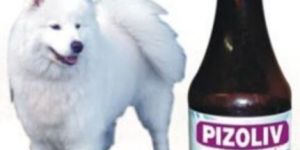 Puppy Veterinary Syrup