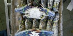 Frozen Crab