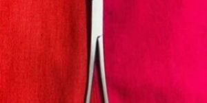 Babcock Tissue Forcep