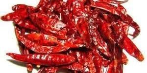Guntur Dry Red Chilli