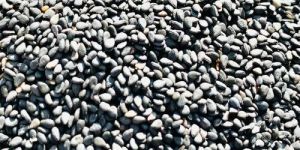 Natural Sesame Seeds