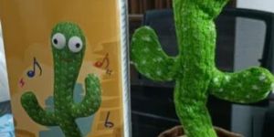 Dancing Cactus Toy
